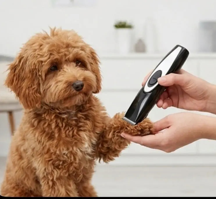 Electric Pet Grooming Trimmer