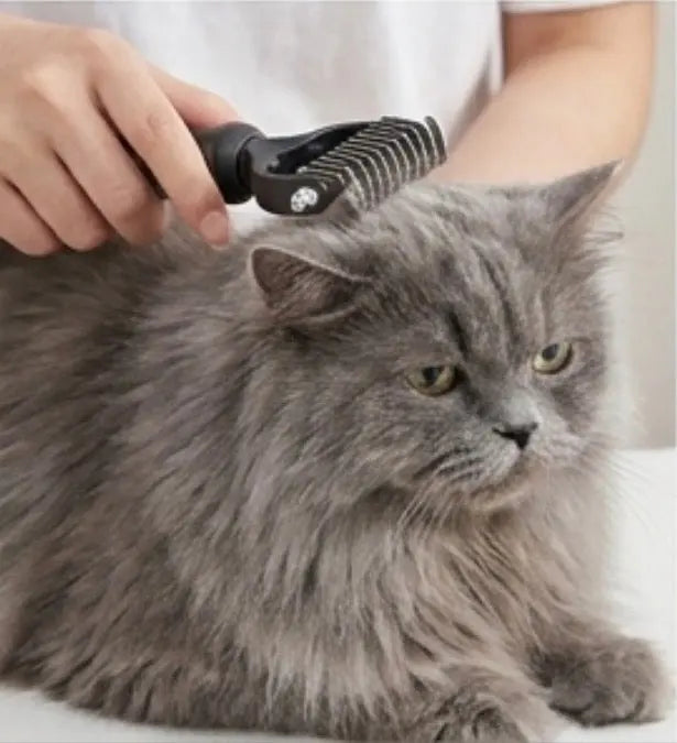 Double-Sided Pet Grooming Brush