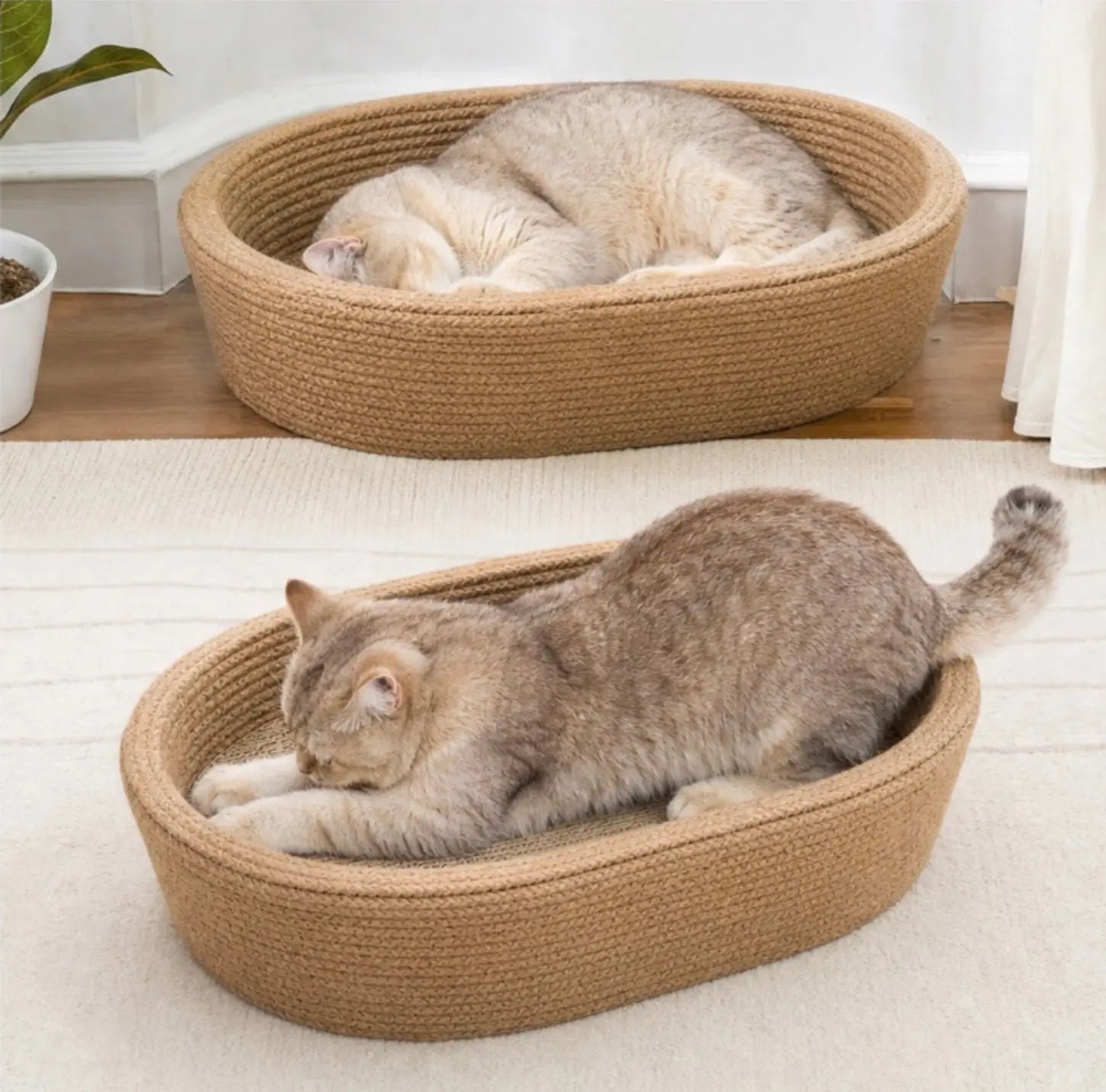 Oval Sisal 2-in-1 Cat Scratcher Bed